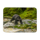 Search for passage magnets British columbia