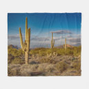 Search for arizona blankets United states