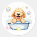 Search for golden doodle dog stickers Labradoodle