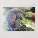 Search for socialization postcards Humour