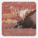 Search for alaska wildlife stickers Animal