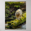 Search for black white bear posters Hunting