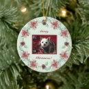 Search for evergreen christmas tree decorations Holly