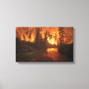 Search for forest fire Sunset
