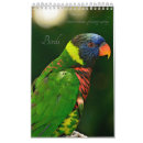 Search for feathered birds photography Avian