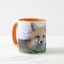 Search for wild fox mugs Mammal