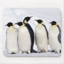 Search for conform mouse mats Wildlife