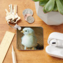 Search for baby chicken key rings Livestock