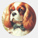 Search for cavalier king charles stickers Dog