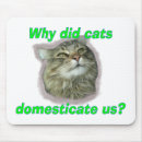 Search for domesticated mouse mats Cats