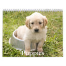 Search for puppy calendars Canine