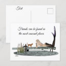Search for fantasy horizontal postcards Fish