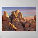 Search for arid climate posters Horizontal