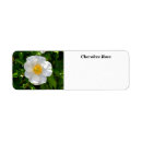 Search for rose petals return address labels Flower