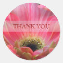 Search for pink gerbera daisy stickers Elegant