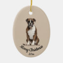 Search for boxer christmas tree decorations Pet