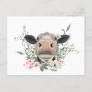 Search for cows postcards Flowers