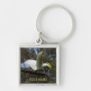 Search for bird wings key rings Animal