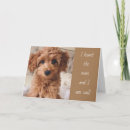 Search for serious cards Veterinarian