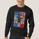 Search for 4th of july golden retriever Puppy