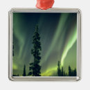 Search for solar christmas tree decorations October