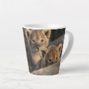 Search for lion cub mugs Baby animals