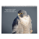 Search for wildlife calendars Raptor