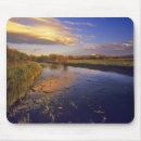 Search for jacksons mouse mats Nobody