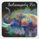Search for pachyderms stickers Elephants