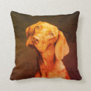 Search for vizsla cushions Hungarian pointer