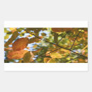 Search for autumn leaf stickers Fall