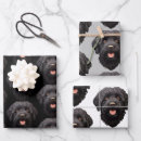 Search for black dog wrapping paper Cute