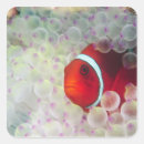 Search for great barrier reef stickers Underwater