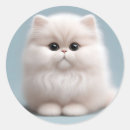 Search for persian kittens stickers Pet