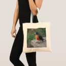 Search for robin bags Nature