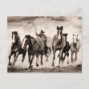 Search for chasing postcards Photography