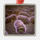 Search for bacteria christmas tree decorations Bacterium