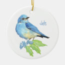 Search for nevada christmas tree decorations Nature