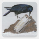 Search for the crow stickers Wildlife