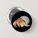 Search for crabs badges Watercolor