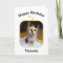 Search for calico kitten cards Kitty