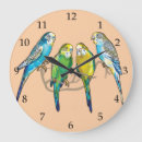 Search for australian bird clocks Parrot