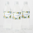 Search for hawaiian floral stickers Pineapple