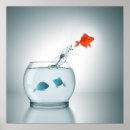 Search for jumping fish posters Animal