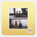 Search for thick stickers I can has cheezburger