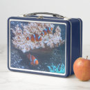 Search for fish lunch boxes Tropical
