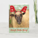 Search for barnyard christmas cards Sheep