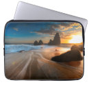 Search for motion picture electronics Horizontal