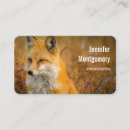 Search for fox business cards Photography