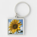 Search for backcountry key rings Christopher talbot frank